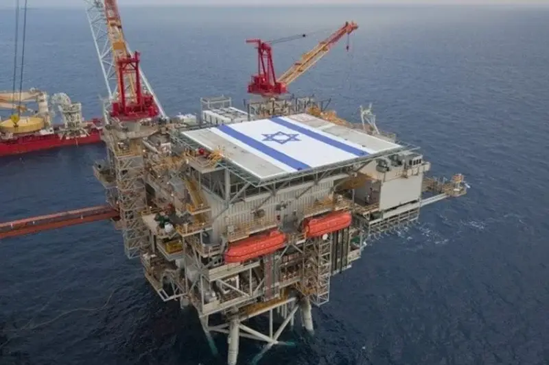 Company NewMed Energy