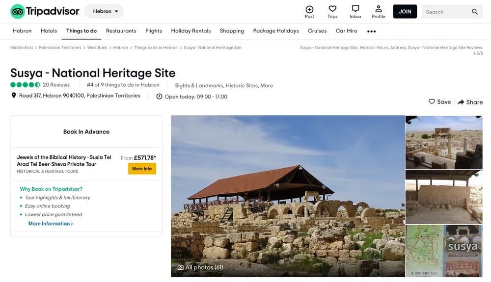Company TripAdvisor Inc